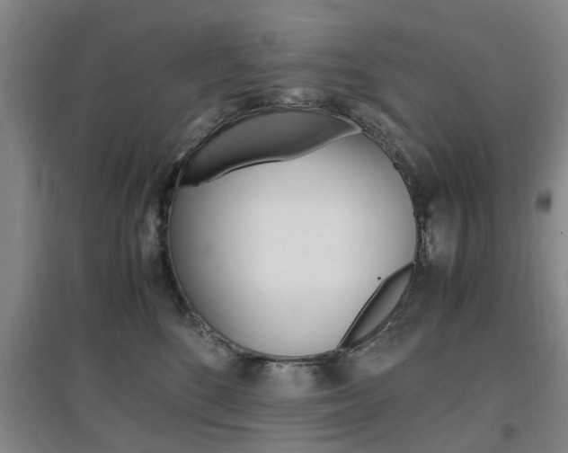 X0000097460520200802220809
