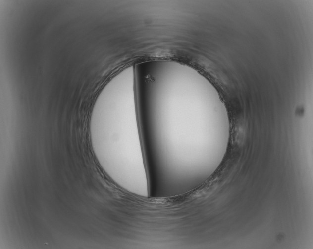 X0000097460521200802220809