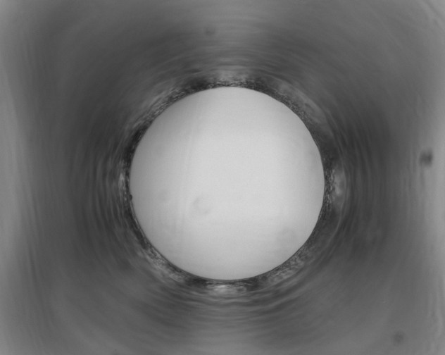 X0000097460522200802220809