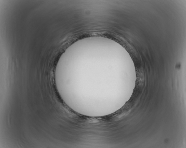 X0000097460523200802220809