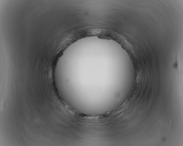 X0000097460524200802220809
