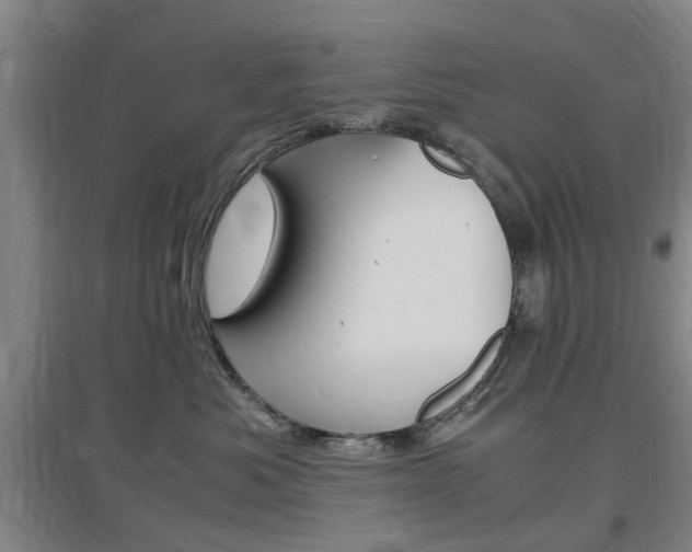 X0000097460525200802220809