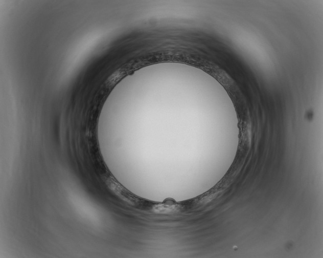 X0000097460526200802220809