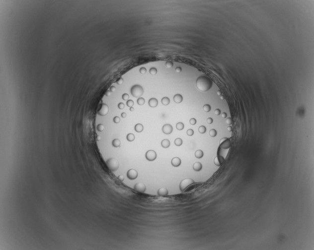 X0000097460527200802220809