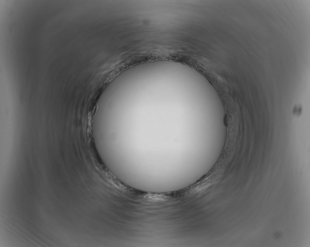 X0000097460528200802220809