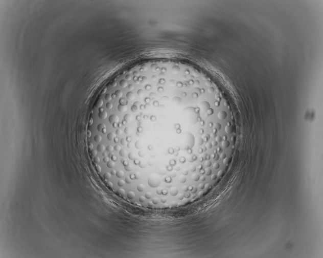 X0000097460529200802220808
