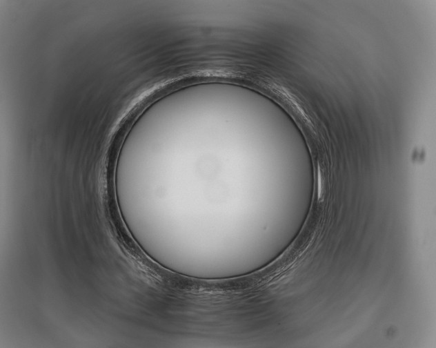 X0000097460531200802220808