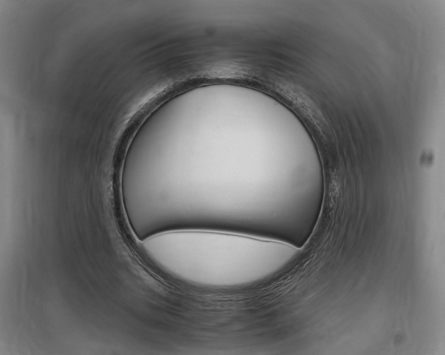 X0000097460535200802220808