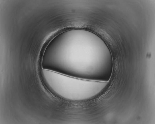 X0000097460536200802220808