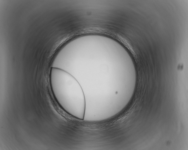 X0000097460538200802220809