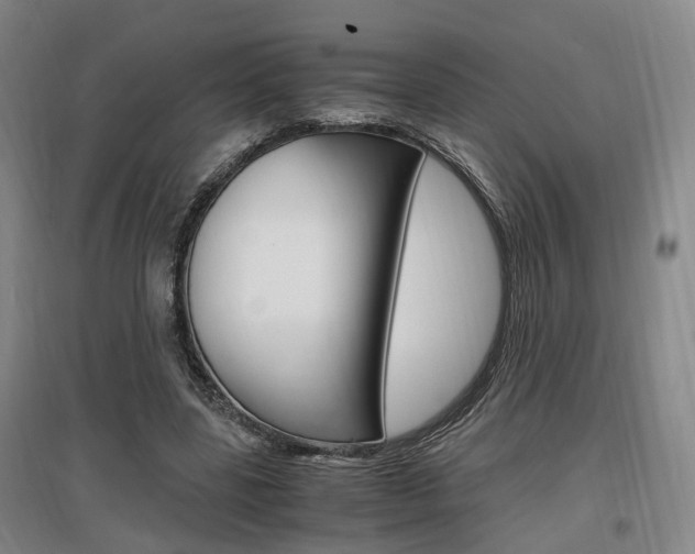 X0000097460539200802220809