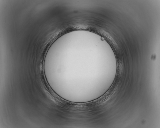 X0000097460541200802220809