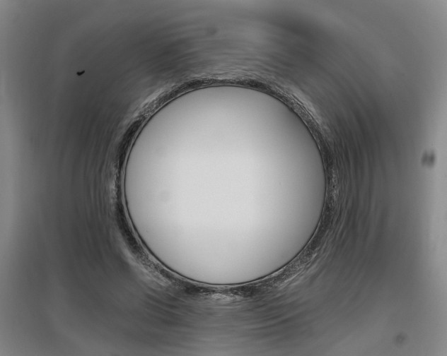 X0000097460542200802220809