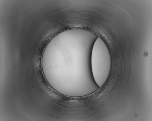 X0000097460545200802220809