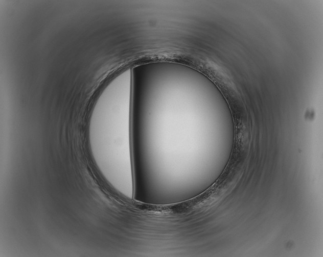 X0000097460548200802220809