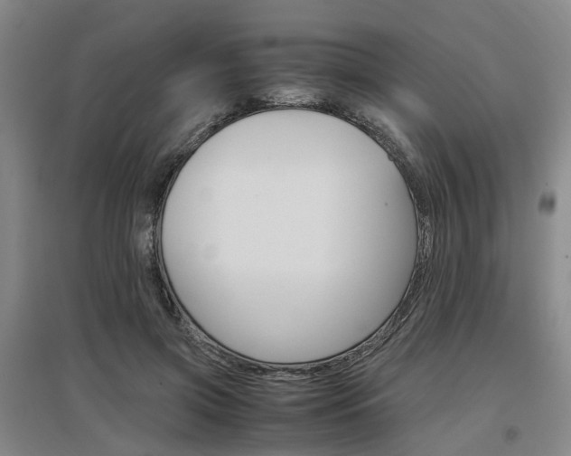 X0000097460549200802220809