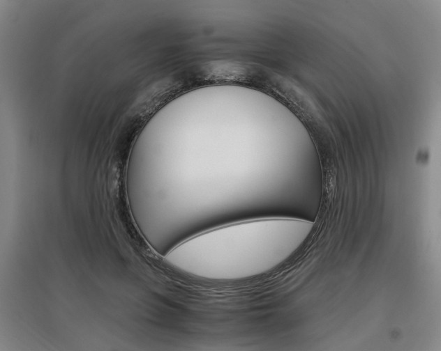 X0000097460551200802220809