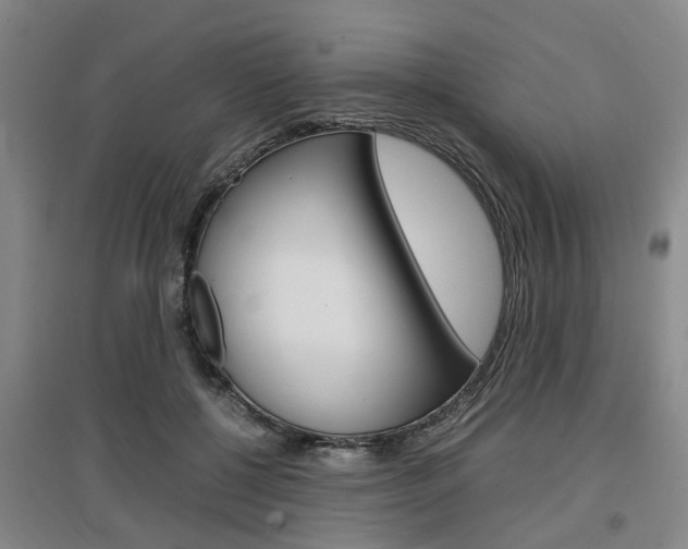 X0000097460552200802220809