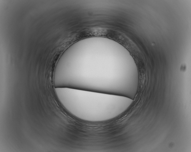 X0000097460553200802220809