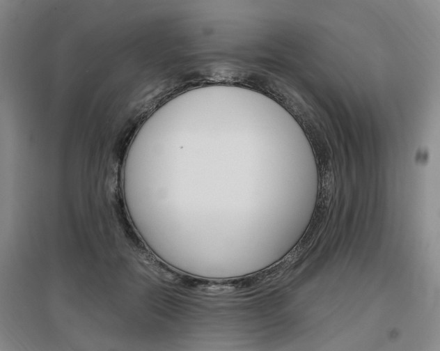 X0000097460554200802220809