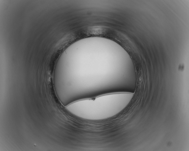 X0000097460555200802220809
