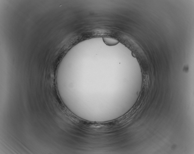 X0000097460557200802220809