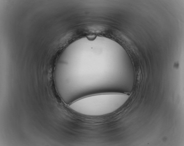 X0000097460559200802220809