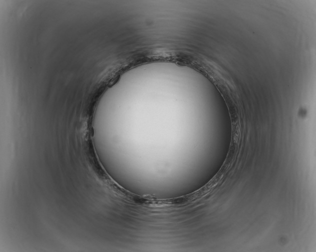 X0000097460560200802220809