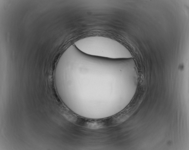 X0000097460561200802220809