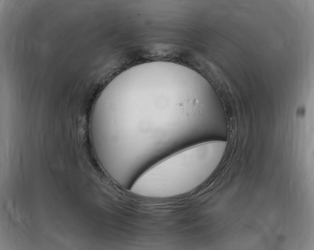 X0000097460563200802220809