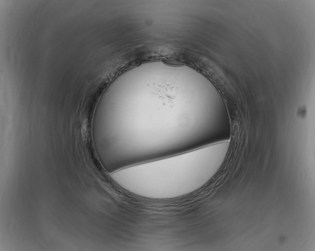 X0000097460564200802220809