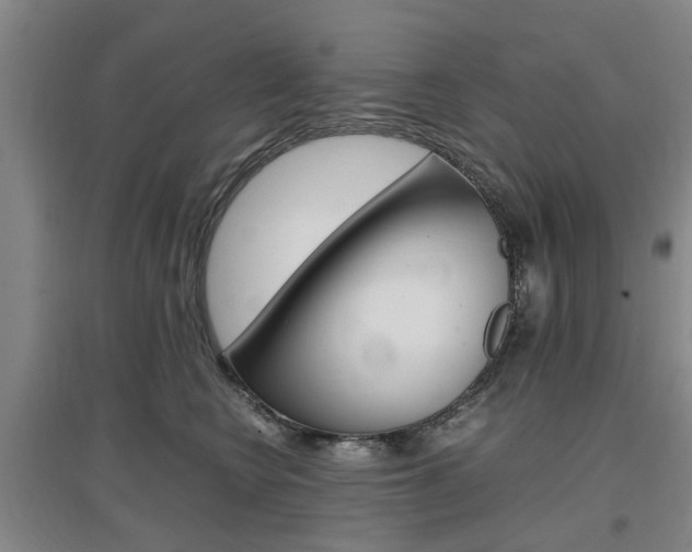 X0000097460566200802220809