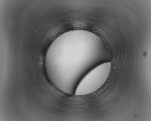 X0000097460567200802220809