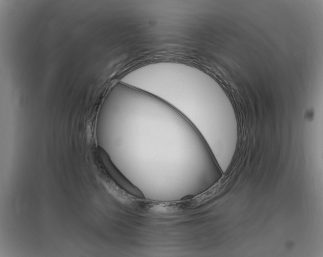 X0000097460568200802220809