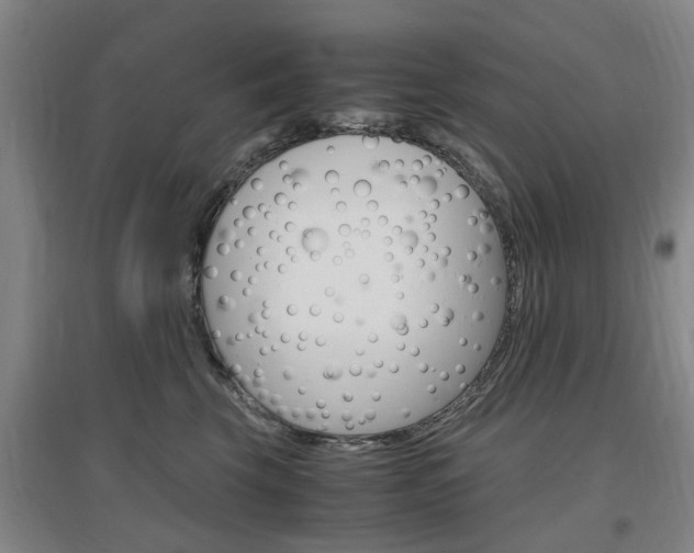 X0000097460569200802220809