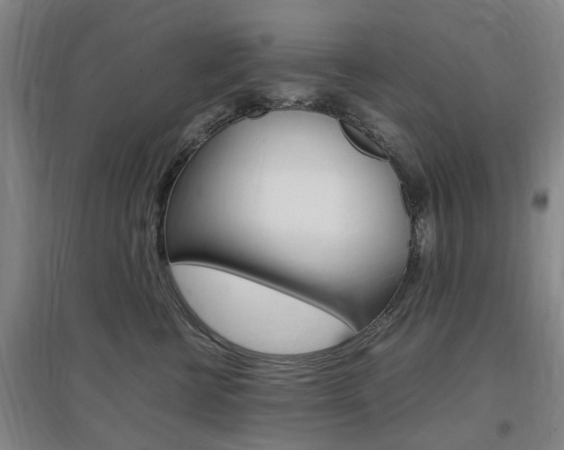 X0000097460570200802220809