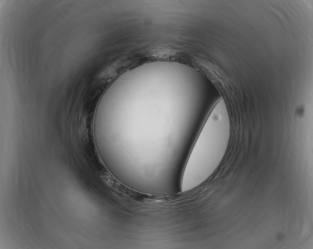 X0000097460572200802220809