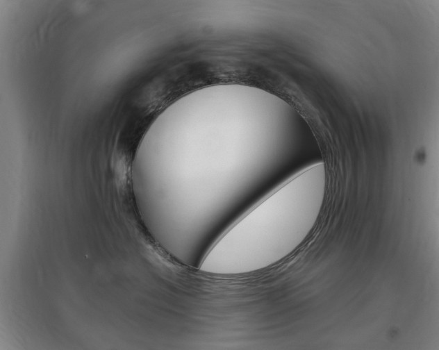 X0000097460574200802220809
