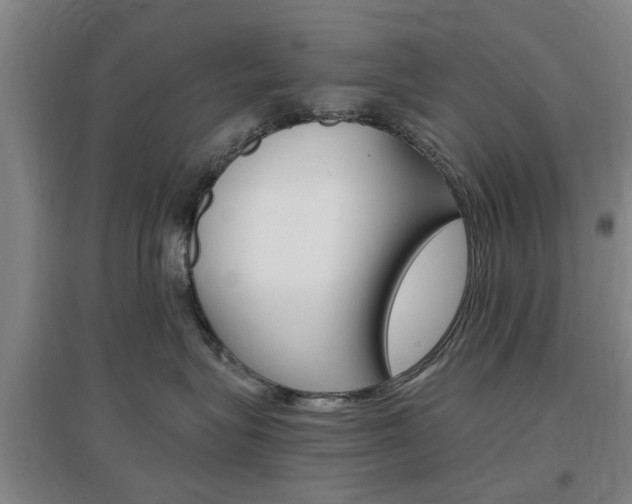 X0000097460575200802220809