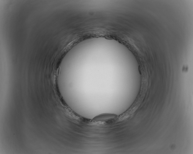 X0000097460576200802220809