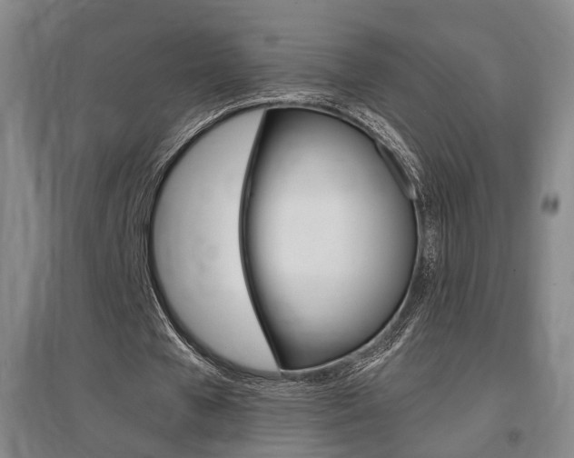 X0000097460577200802220808