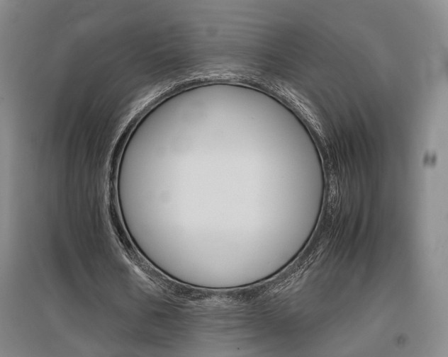 X0000097460578200802220808