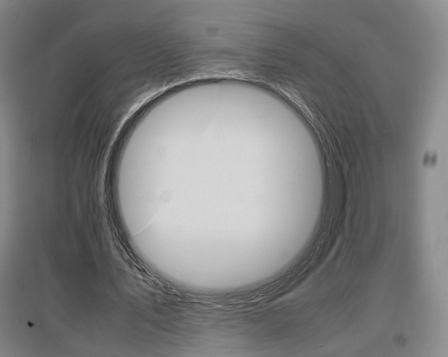 X0000097460579200802220808