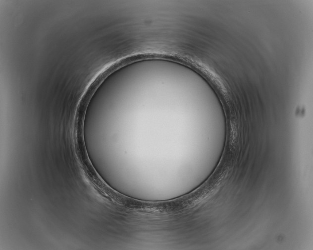 X0000097460580200802220808