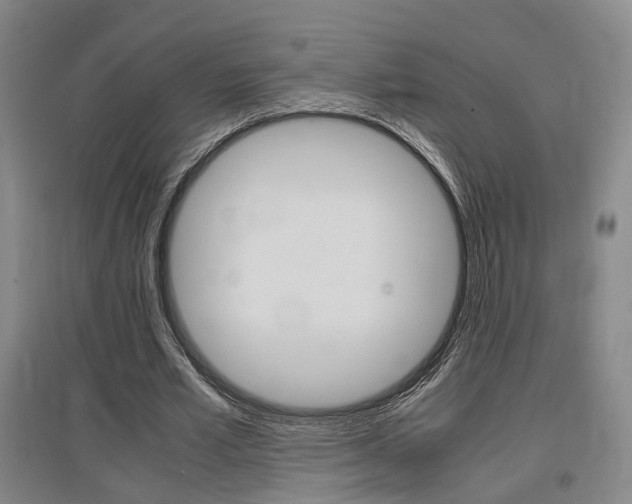 X0000097460581200802220808
