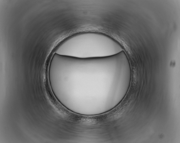 X0000097460582200802220808