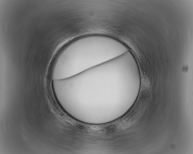 X0000097460583200802220808