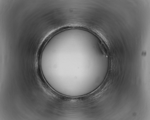 X0000097460584200802220808