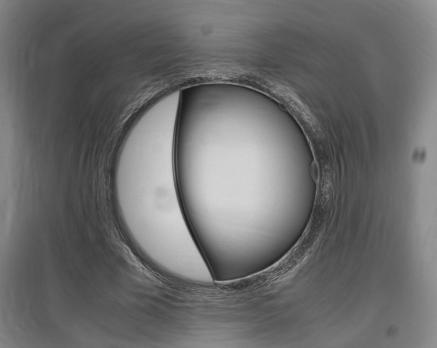 X0000097460585200802220808