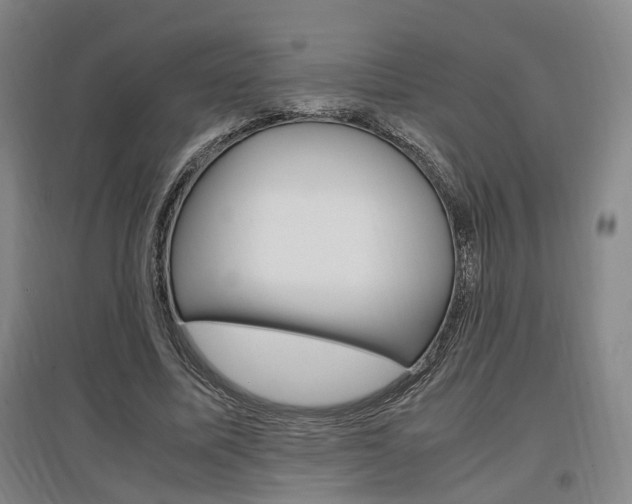X0000097460587200802220808